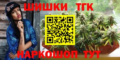 винт Гатчина